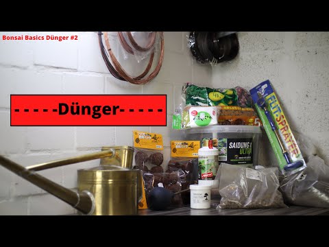 Die Menge mach das Gift - Allgemeines dazu wie ich Dünge | Bonsai Basics Dünger #2