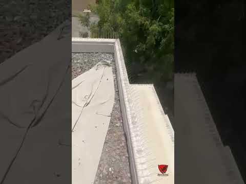 Bird control installation video 2