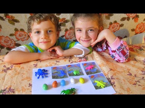 Обзор игрушек растущих в воде. Динозавры из яиц , рак, краб. Dinosaur egg, cancer, crab