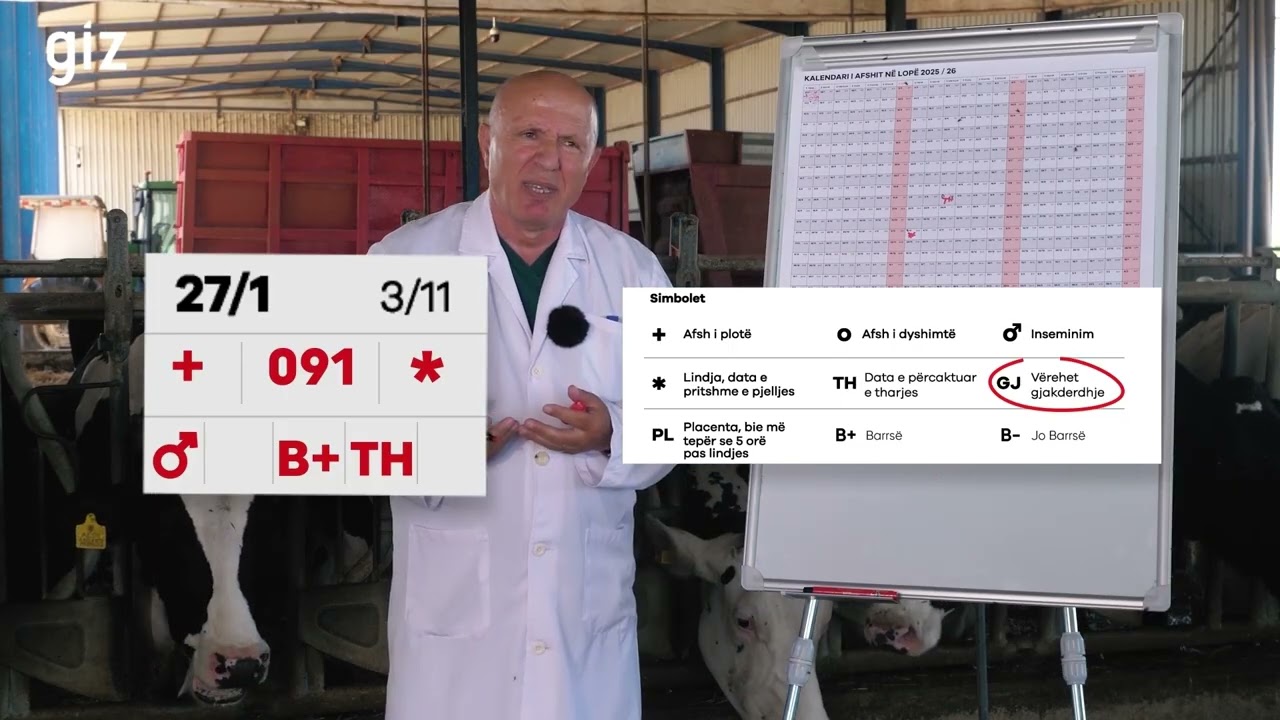 Afshi tek Lopët