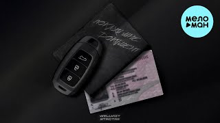 WELLVIZY, STRCTRE - Покажи мне документ (Single 2023)