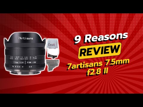 Video thumbnail for Video Review 3