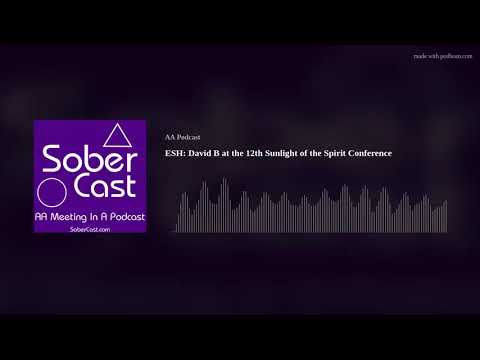 ESH: David B at the 12th Sunlight of the Spirit Conference