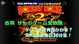 クリアまで何日かかる？スーパードンキーコング2ほぼ毎日30分生！DAY2