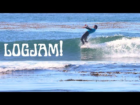 Longboard Surfing at Pleasure Point, Santa Cruz | LogJam! 2024 Jr Men's & Women's