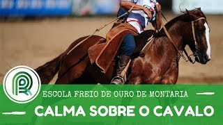 Miniatura do vídeo