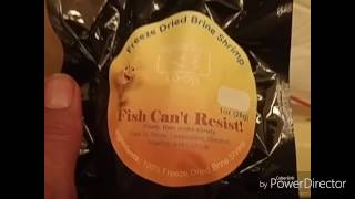 Aquarium Co-op Unboxing from Easter's 8 Hour Live Stream
#FishFam #Fishtube