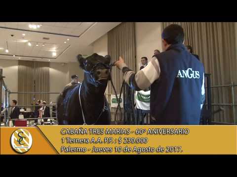 10-08-17 Venta de Terneras A.A. P.P. - Cabaña Tres Marias - Palermo.