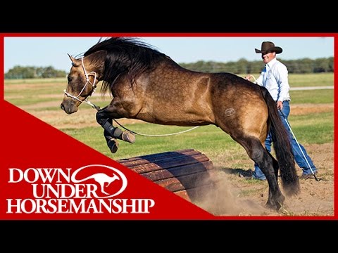 Clinton Anderson: Obstacle Course Training at the Ranch Rally - Downunder Horsemanship