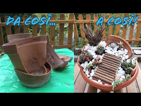 HAI DEI VASI ROTTI? ECCO COME RIUTILIZZARLI! Composizione piante grasse