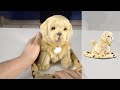 Vidéo