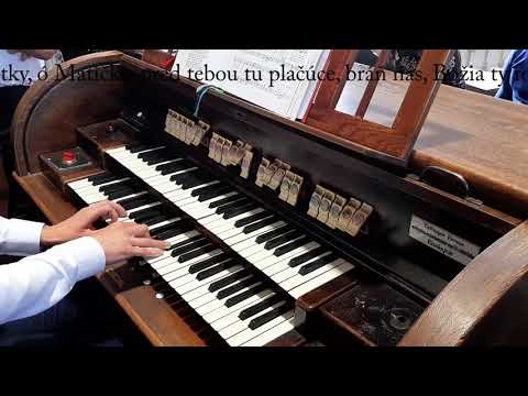 JKS 365 - Pod tvoj plášť sa utiekame