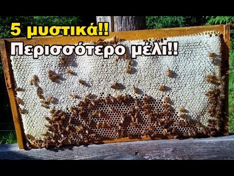 , title : '5 μυστικά για περισσότερο μέλι από λίγα μελίσσια'
