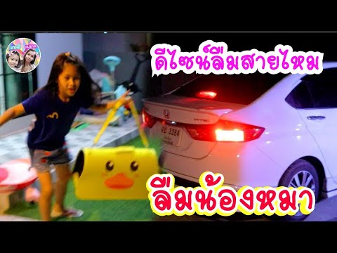 เกลลี่เอาน้องหมาไปคืนดีไซน์ ลืมหมาไว้ที่บ้าน