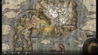 エルデンリング　今日こそラスボス　[PS5] [4K]