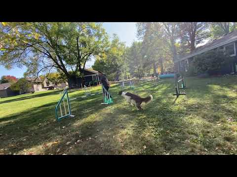 Sticks biathlon jumpers C2