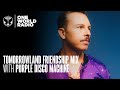 Tomorrowland - Friendship Mix - Purple Disco Machine