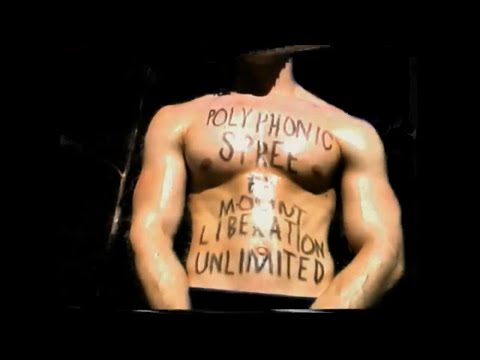 Mount Liberation Unlimited - Polyphonic Spree (Official Video)