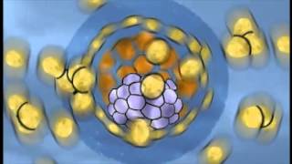 NOVA scienceNOW : 3 - Stem cells : Early research (2005)