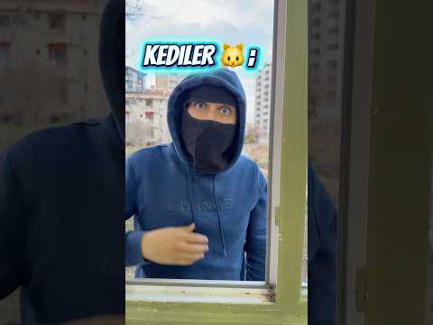 Eve hırsız girince köpekler vs kediler