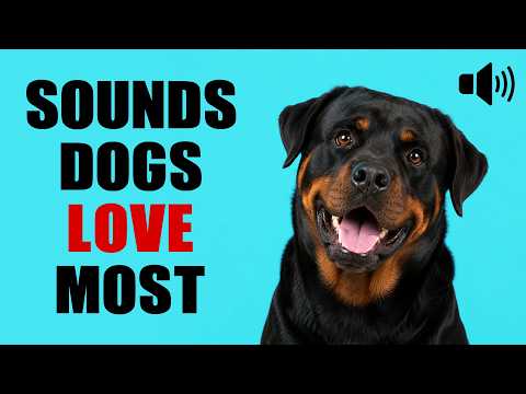 The Sounds Dogs Love Most ❤️ Instant Attraction &amp; Dog Head Tilt