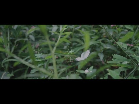 Hazee 3000 - Decline (Official video)
