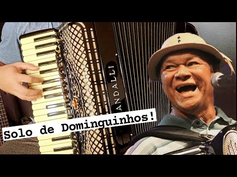 Minhas Desculpas - Dominguinhos