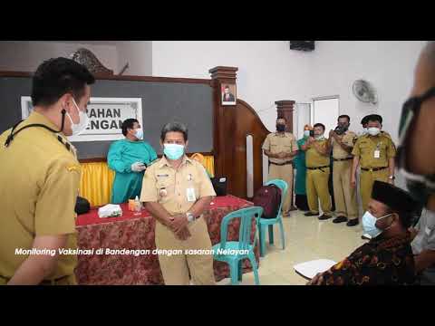 MONITORING VAKSINASI OLEH BUPATI KENDAL
