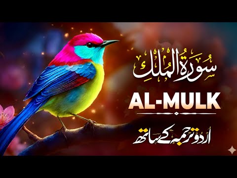Surah Al-Mulk | Heart Soothing Quran Recitation | سورۃ المُلک مکمل | Ep - 607