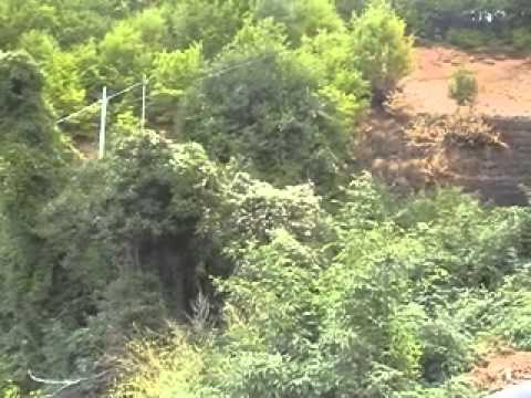 Parenti, paese fatto a croce - Prima parte -