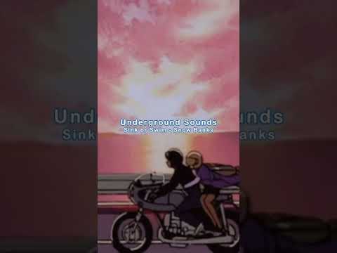 Snow Banks ft. RONNY J - Sink or Swim