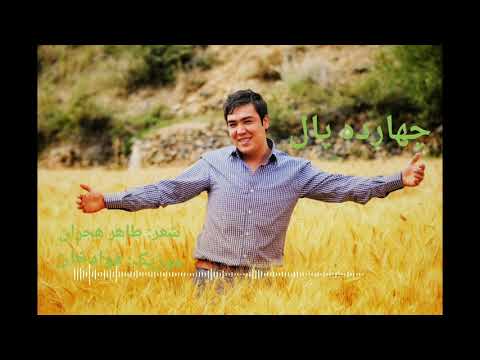 Hamid Sakhizada New song |Chaharda Pal حمید سخی‌زاده |چهارده پال ‍| آهنگ جدید #Hamid_Sakhizada