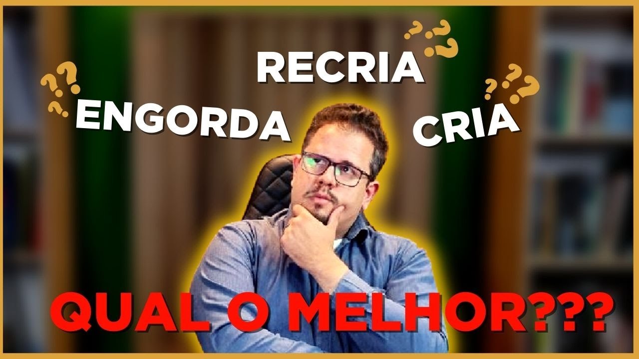 Qual melhor sistema de produção? Cria, Recria ou Engorda?