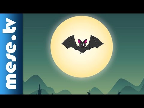 Drazsé Zenekar - Denevér (gyerekdal) | MESE TV