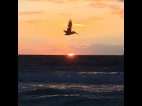 70.  Rugaciunea de seara. La Inserare