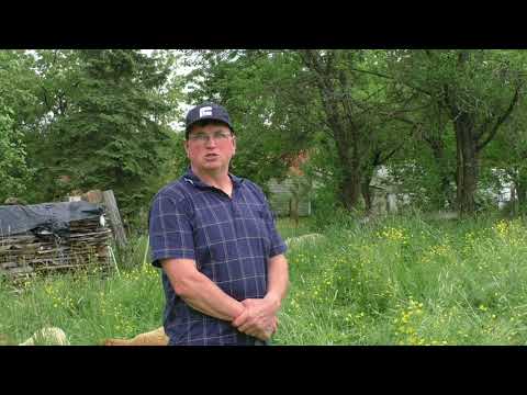 2017 05 20  Hobby Schäfer in Momart im Odenwald 2txt 11min