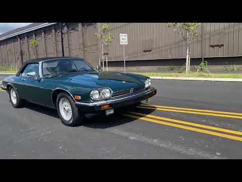 1991 Jaguar XJS (CC-1643670) for sale in Allentown, Pennsylvania