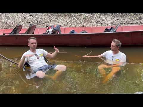 Wie finden wir seltene Fische? Interview mit BSSW Vorsitzendem Daniel Konn-Vetterlein