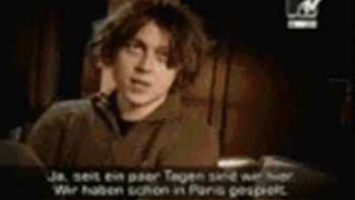 Sunchild - The Vines