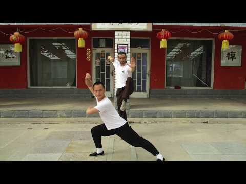 Kungfu School China - Fabien Shao Hong 2017