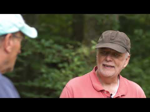 beeMOOC - Bienen im Jahresverlauf