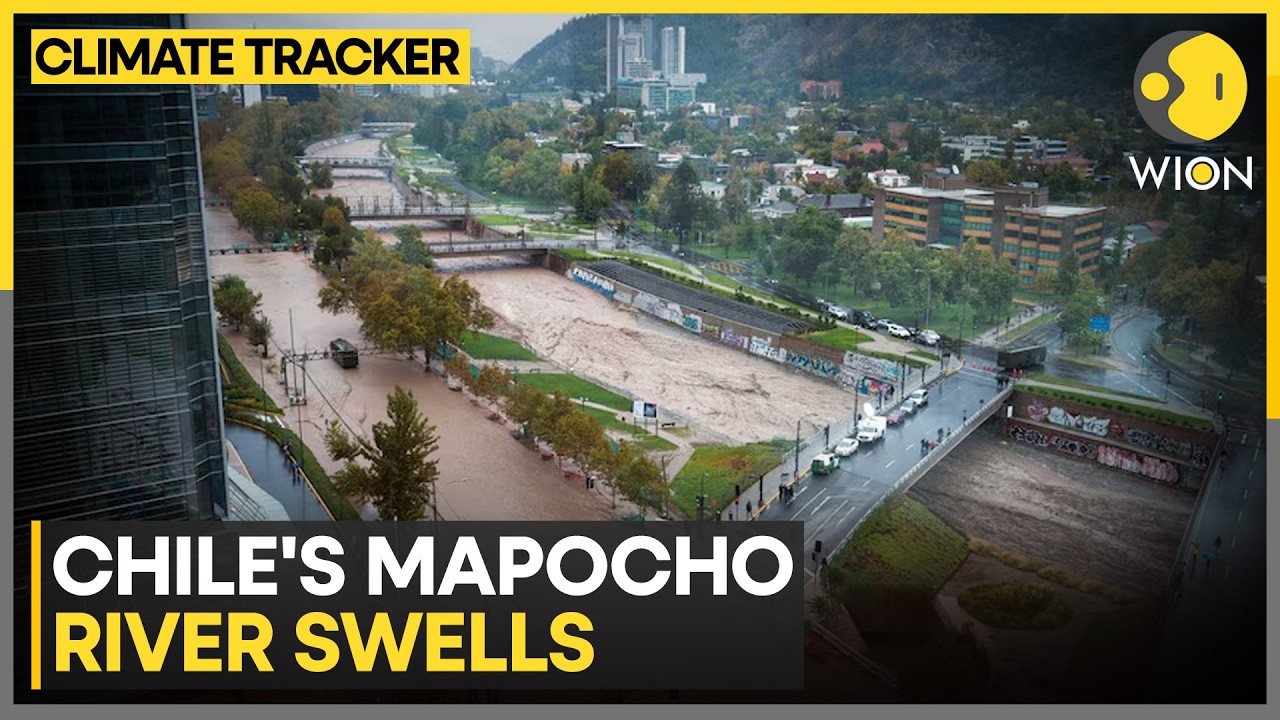 Stray Dog Rescued From Chile’s Swollen Mapocho River | WION News