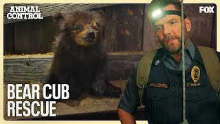 show video image in three sizes