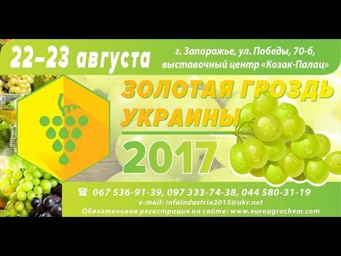 Золотая Гроздь Украины 2017