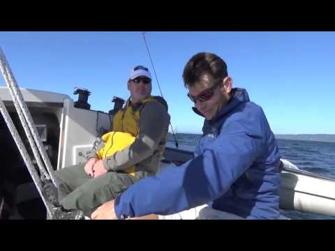 download lagu mp3 mp4 Tumbleweed Portland, download lagu Tumbleweed Portland gratis, unduh video klip Tumbleweed Portland