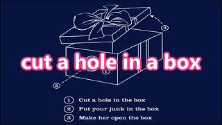 The Lonely Island   Dick in a Box   Lyrics on screen