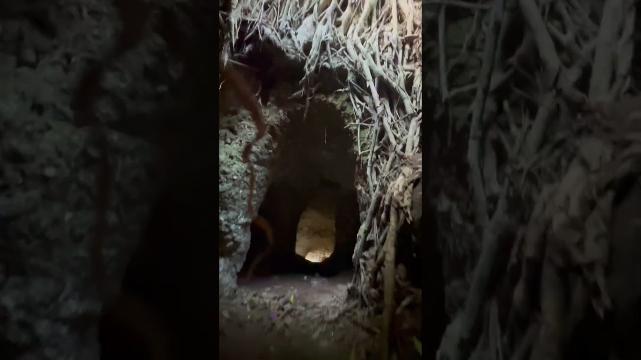 YouTube Short thumbnail