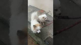 Download lagu https://youtube.com/shorts/BHCncfyujvc”cfhjbcxdghj mp3