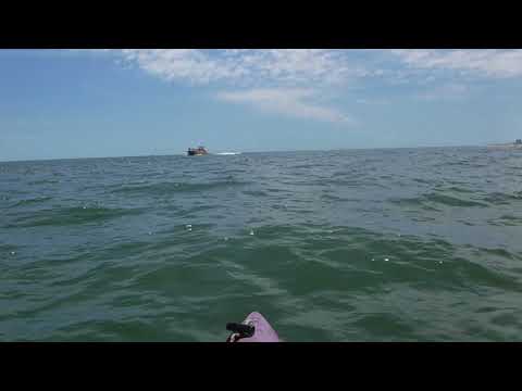 6 16 18 DOLPHIN ADVENTURE SAT 11 30 AM 7