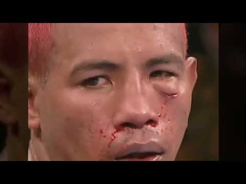 Felix Trinidad (Puerto Rico) vs Ricardo Mayorga (Nicaragua) - Knockout, Boxing Fight Full Highlights